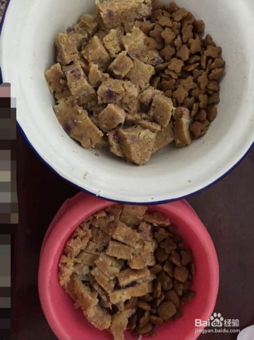 自制狗粮的材料和做法