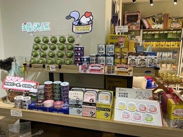 猫咪日常超治愈