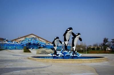 大连水族馆vs祥龙鱼场（大连水族馆可能与观赏鱼市场有关联，但具体信息较少） 全国水族馆企业名录 第5张