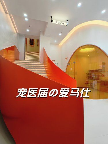 很哇噻宠物界的「爱马仕」‼️[6]