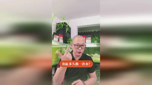 鱼缸多久换一次水？