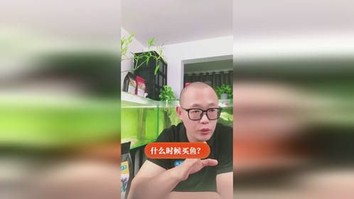 什么季节买新鱼合适？