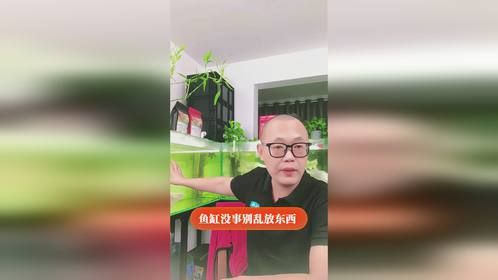 没事往鱼缸里乱放东西？