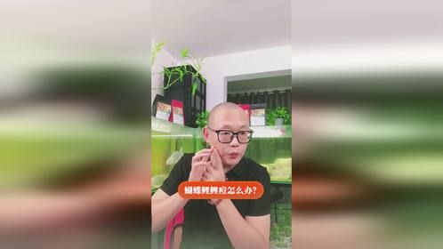 蝴蝶鲤鲤痘怎么办？