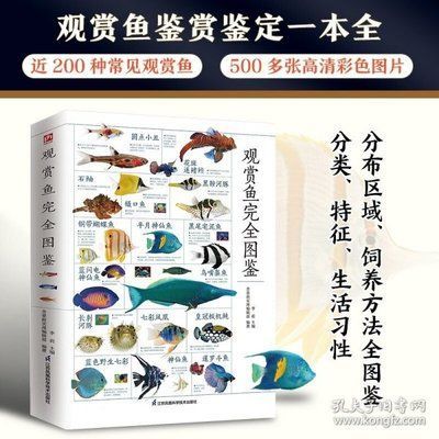 龙鱼饲养书籍推荐：《龙鱼》最新版图书和四个光盘，龙鱼饲养书籍推荐 龙鱼百科 第2张