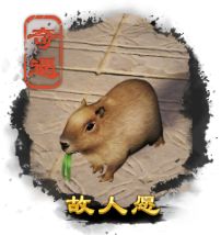 剑网3故人愿宠物奇遇触发流程攻略