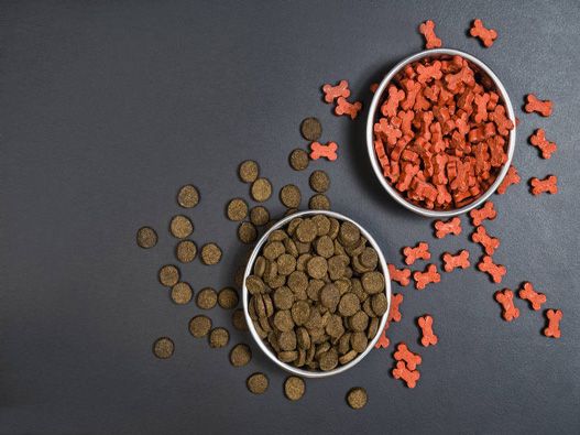 宠物粮食商标分类
