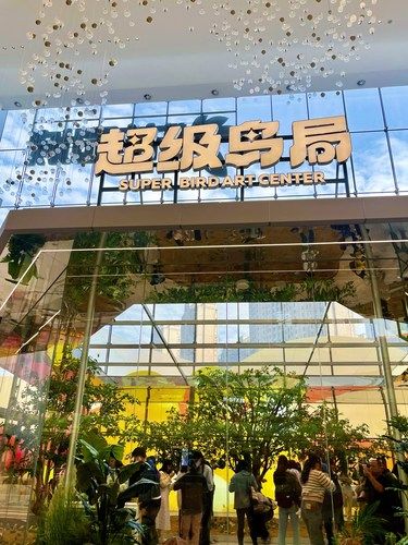 超级鸟居来长沙啦