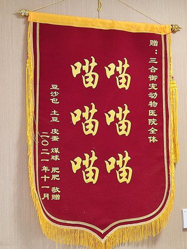 成都成华到底有没有好的宠物医院⁉️我真的服了