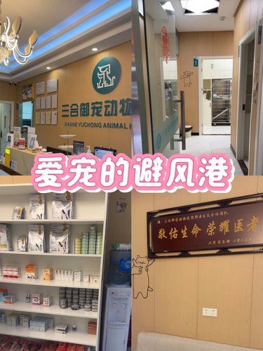 【宠物守护】三合御宠动物医院，萌宠的温馨港湾
