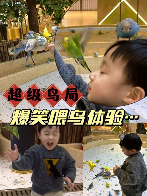 https://p0.meituan.net/coverpic/36268c8935109150ef1526f47f9ee6ed428358.jpg%40360w_640h_1e_1l_100q%7Cwatermark%3D0