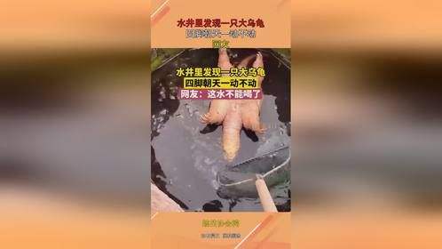 水井里发现一只大乌龟，四脚朝天一动不动，网友：这水不能喝了！