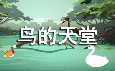 赏鸟乐园鸟的天堂导游词作文