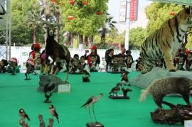 乐颜萌宠乐园，人与自然、动物和谐共生的乐园新典范