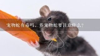 宠物蛇有毒吗，养宠物蛇要注意什么？