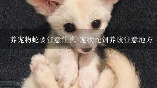 养宠物蛇要注意什么 宠物蛇饲养该注意地方