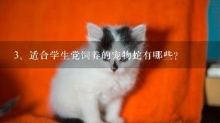 适合学生党饲养的宠物蛇有哪些？