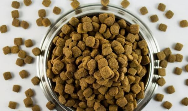 怎样挑选优质狗粮?看这8个方面就够了