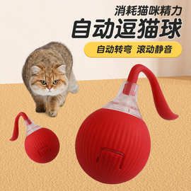 跨境引力滚滚球宠物玩具球猫咪自嗨球自动滚动球逗猫球宠物用品