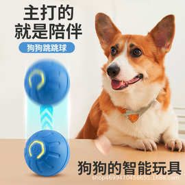 新宠物狗狗跳跳球电动智能耐咬互动猫狗滚滚弹力球引力自嗨玩具