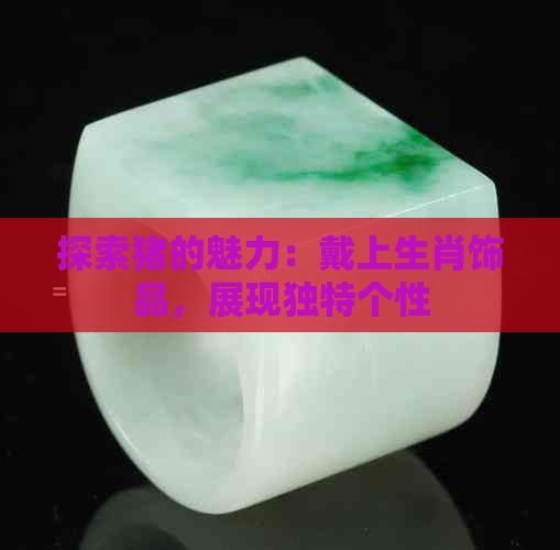 探索猪的魅力：戴上生肖饰品，展现独特个性