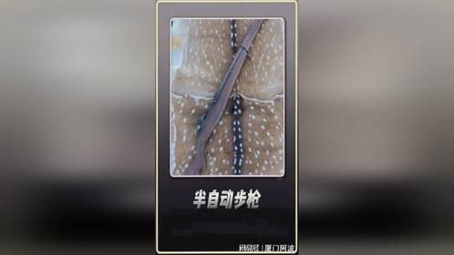 盘点两款不同的半自动步枪