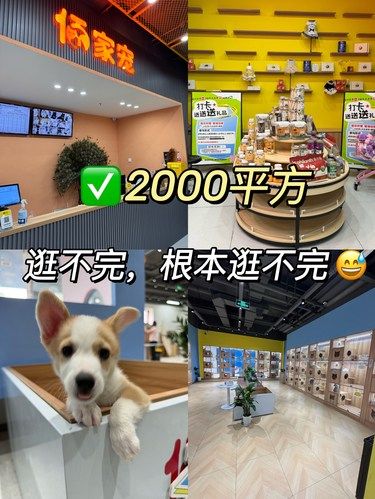 上海普陀……大开眼界‼️