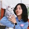 晓晓学姐是猫奴
