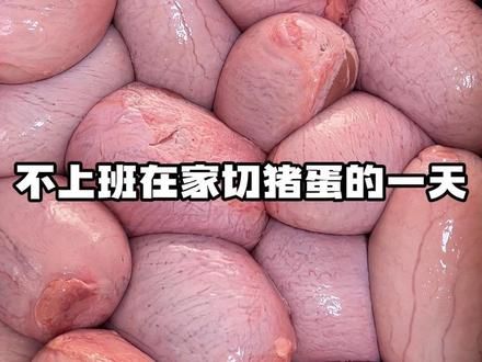 《臭臭宠物零食合集》 自制烘干零食之不上班在家给狗狗烘干猪蛋蛋的一天，10斤猪蛋蛋+3斤牛肝+5斤猪腰子#狗零食 #狗狗零食推荐 #猪蛋蛋 #烘干猪蛋蛋 #烘干宠物零食