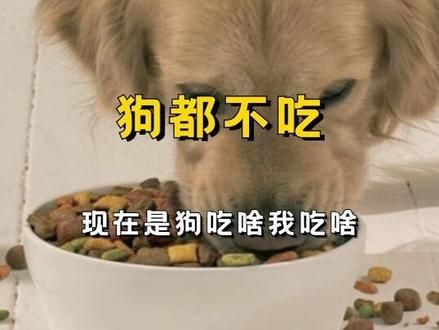 人不如狗系列，狗粮居然比人吃的零食配料都干净 #狗粮 #离谱 #大学生 #00后 #食品安全
