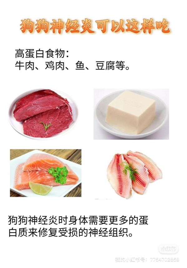 狗狗神经炎这样吃。✅高蛋白食物:牛肉、鸡肉、鱼、豆腐等。 狗狗神经炎时身体需要更多的蛋白质来修复受损的神经组织。 ✅富含必需脂肪酸的食物:牛肉、鱼肉、胡萝卜、南瓜、等。 必需脂肪酸有助于修复并保护神经组织,可以降低炎症反应。 ✅富含抗氧化剂的食物:蓝莓、苹果、红薯、西兰花等 抗氧化剂有助于消除自由基对神经组织的损伤,并防止炎症反应加剧。#养狗经验分享 #狗狗生病 #狗狗神经炎