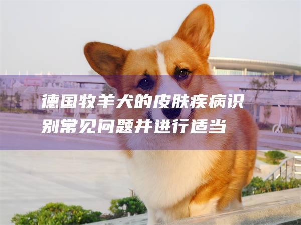 德国牧羊犬的皮肤疾病识别常见问题并进行适当