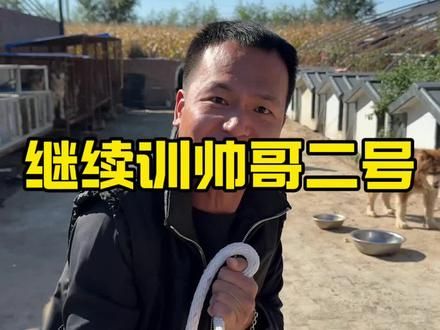 帅哥二哥改善 #潘宏爱玩狗 #人与动物和谐共处 #神奇动物在抖音 #萌宠出道计划 #狗狗