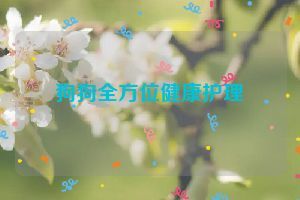 狗狗全方位健康护理