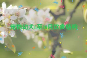 宠物幼犬8至10月饮食结构