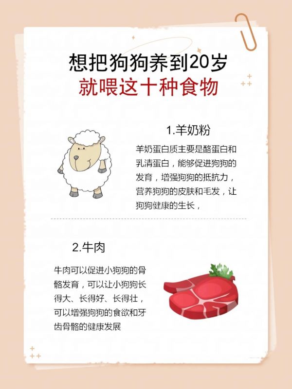 想把狗狗养到20岁，就喂这十种食物#养狗经验分享 #新手养狗 #养狗小知识 #科学养宠攻略