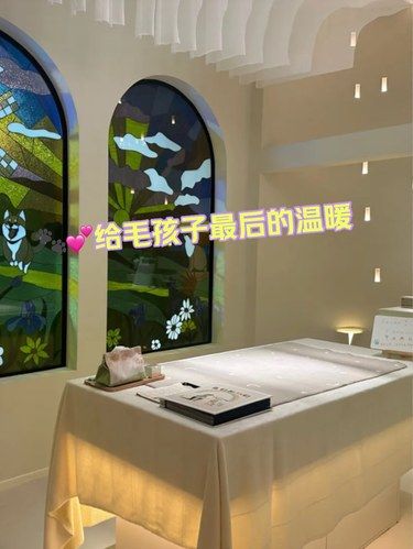 四个拥抱·给毛孩子最后的温暖