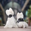 https://p0.meituan.net/userheadpicbackend/984e4a5045b57bd645e92a67f8873bc5396608.jpg%40120w_120h_1e_1c_1l%7Cwatermark%3D0