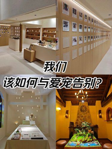 给宠物最后的爱，与自己和解