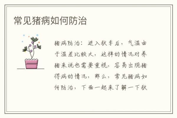 常见猪病如何防治
