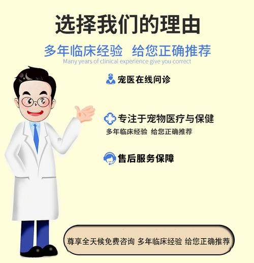兽医专家在线咨询,兽医专家在线咨询免费
