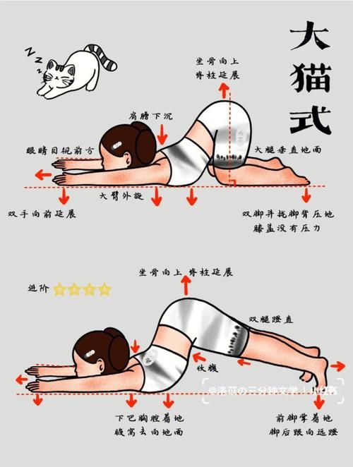猫咪的行为训练,猫咪的行为训练方法
