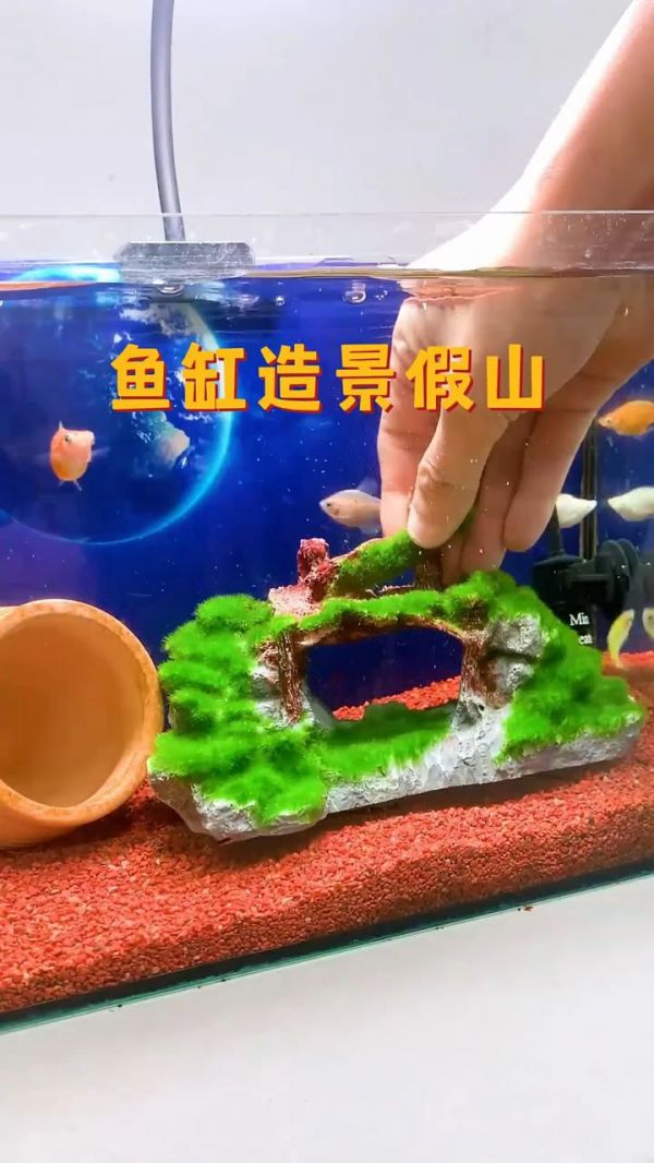 鱼缸造景DIY教程_ 快速鱼缸造景方法_ 简易鱼缸造景设计_ 鱼缸造景材料推荐_ 鱼缸造景美化技巧_ 鱼缸造景视频教程_ 鱼缸布景教程_ 鱼缸造景图片大全_ 鱼缸造景创意分享_ 鱼缸造景一站式服务