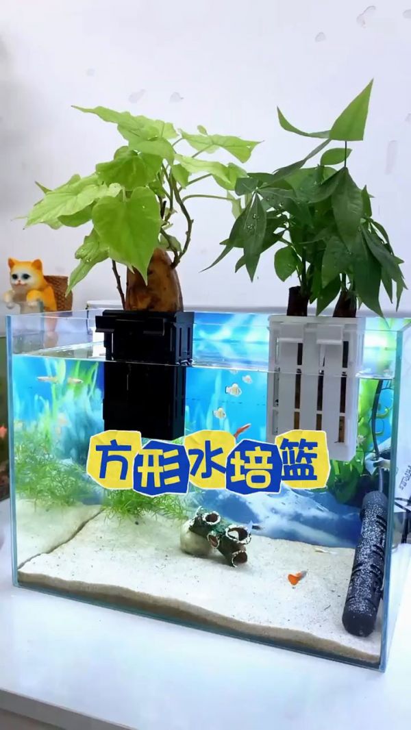 鱼缸水质净化方法_鱼花共养技巧_鱼缸过滤器推荐_观赏鱼与植物共养_鱼花共养生态鱼缸_鱼缸水质检测工具_家用鱼缸清洁用品_鱼缸增氧泵_鱼花共养视频教程_鱼花共养鱼缸设计