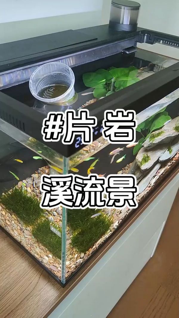 溪流片岩装饰技巧_ 片岩摆放设计图_ 室内装饰石材_ 溪流片岩价格_ 家居装饰石材推荐_ 片岩景观打造_ 片岩装饰风格_ 溪流片岩购买渠道_ 天然石材装饰_ 创意石材摆放