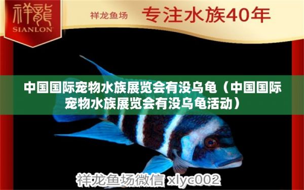 中国国际宠物水族展览会有没乌龟（中国国际宠物水族展览会有没乌龟活动） 乌龟