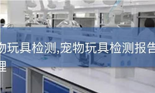 宠物玩具检测,宠物玩具检测报告办理
