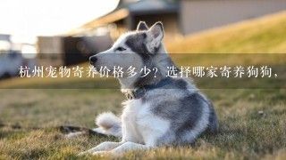 杭州宠物寄养价格多少？选择哪家寄养狗狗，会更为靠谱些？