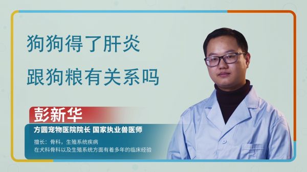 狗狗肝炎和狗粮有关系吗