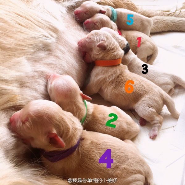 出生第1天